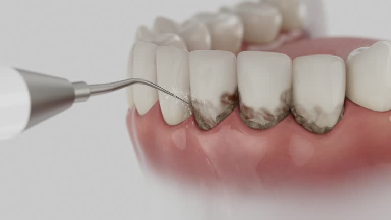 Reliable Dental contractor in North Little Rock, AR by Dentist Open Now